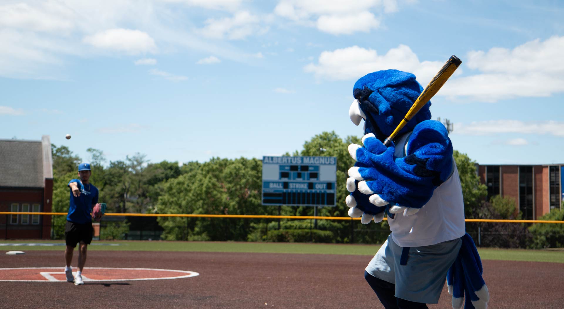 Falcon mascot playing baseball