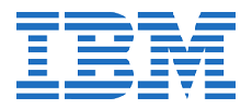 IBM logo