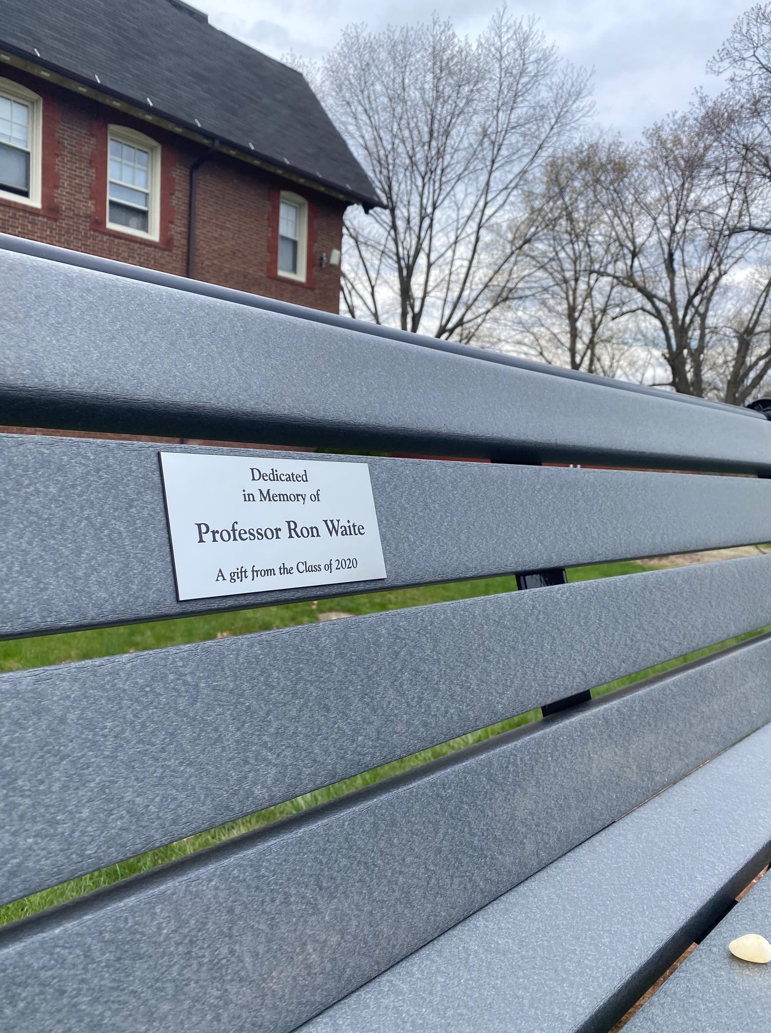 Bench in Memory of Ron Waite