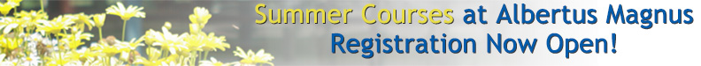 Summer Classes at Albertus