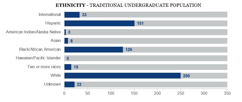 total undergraduate diversity breakdown