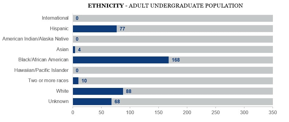 undergraduate diversity breakdown