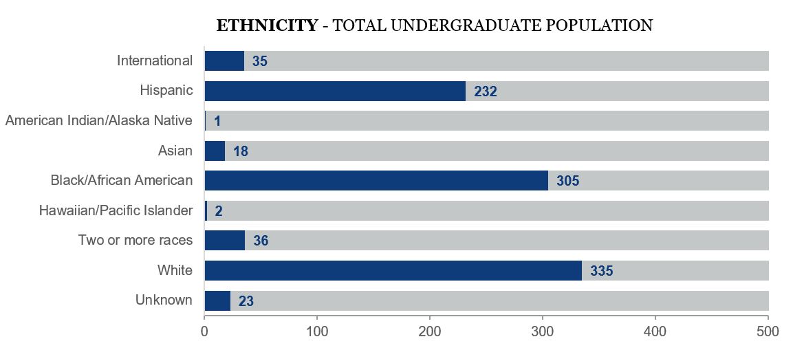traditional undergraduate diversity breakdown