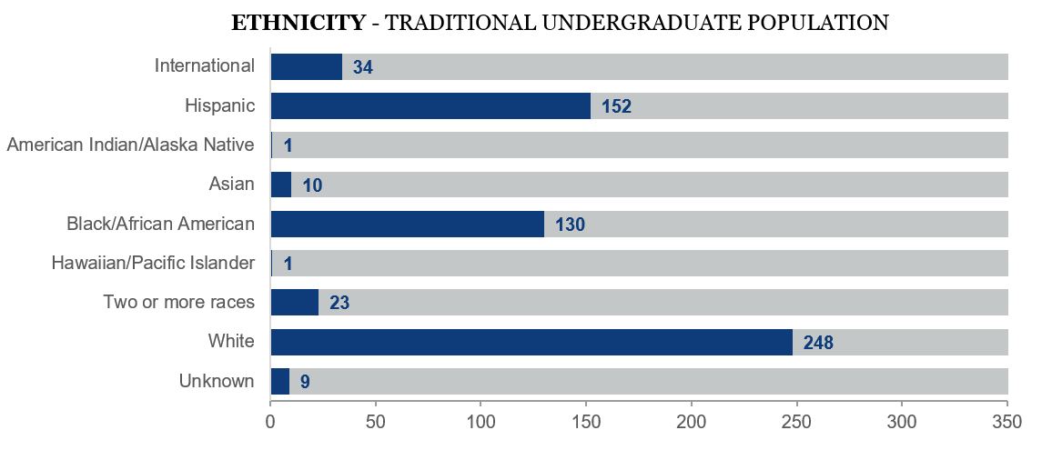 total undergraduate diversity breakdown