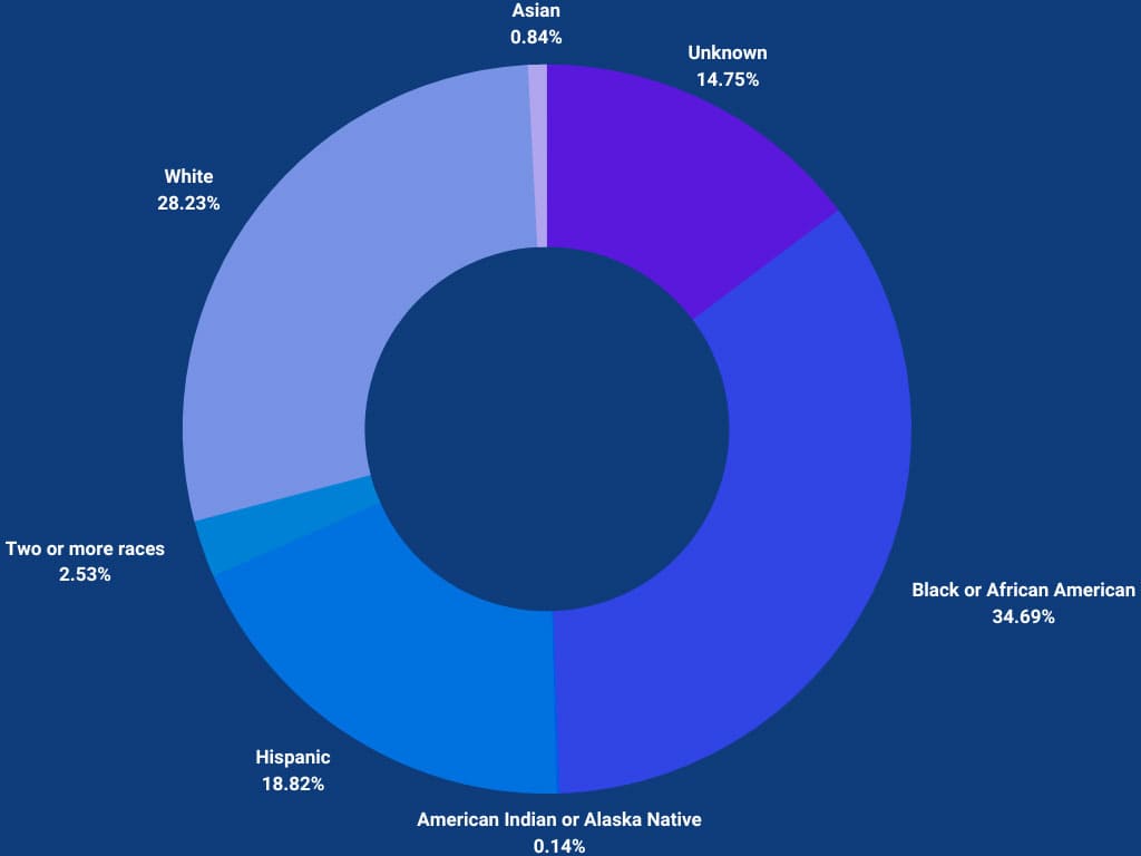 statistics graph American Indian or Alaska Native 0.49%, Asian 1.32%,Black or African American 20.72%,Hispanic 24.84%,Two or more races 2.47%,White 41.12%, International 5.43%, Unknown 3.62%