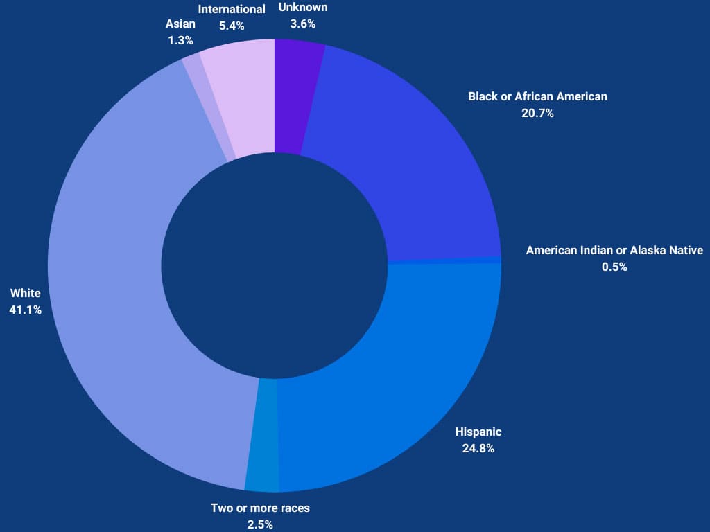 statistics graph American Indian or Alaska Native 0.49%, Asian 1.32%,Black or African American 20.72%,Hispanic 24.84%,Two or more races 2.47%,White 41.12%, International 5.43%, Unknown 3.62%