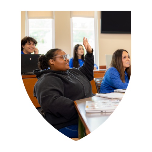 Academic Excellence Shield