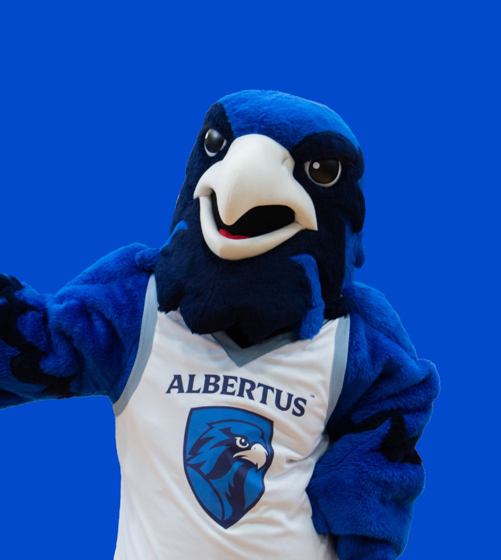 Devin Schmitt, Assistant Residential Life Coordinator at Albertus Magnus College