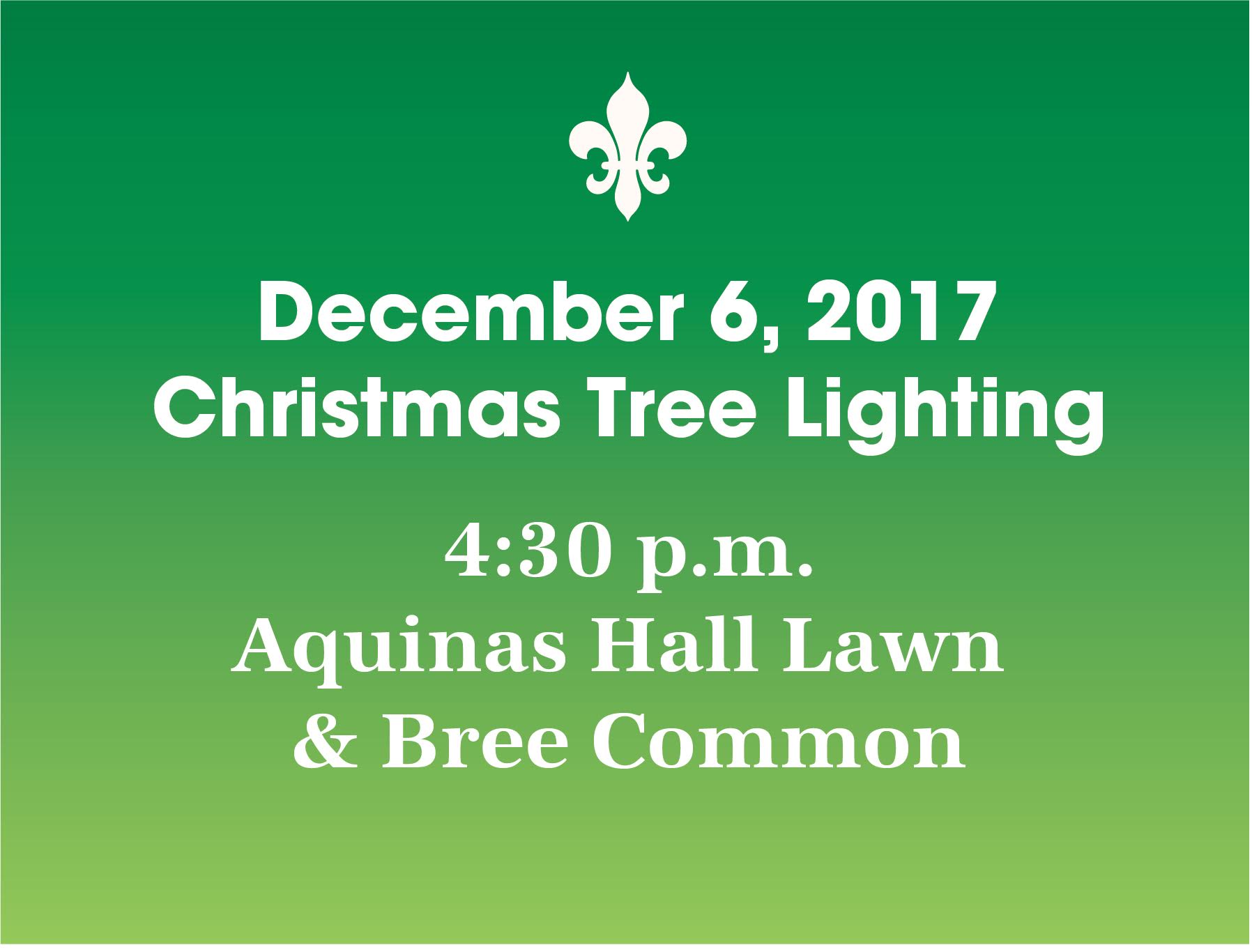 Christmas Tree Lighting