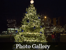 Christmas Tree Lighting