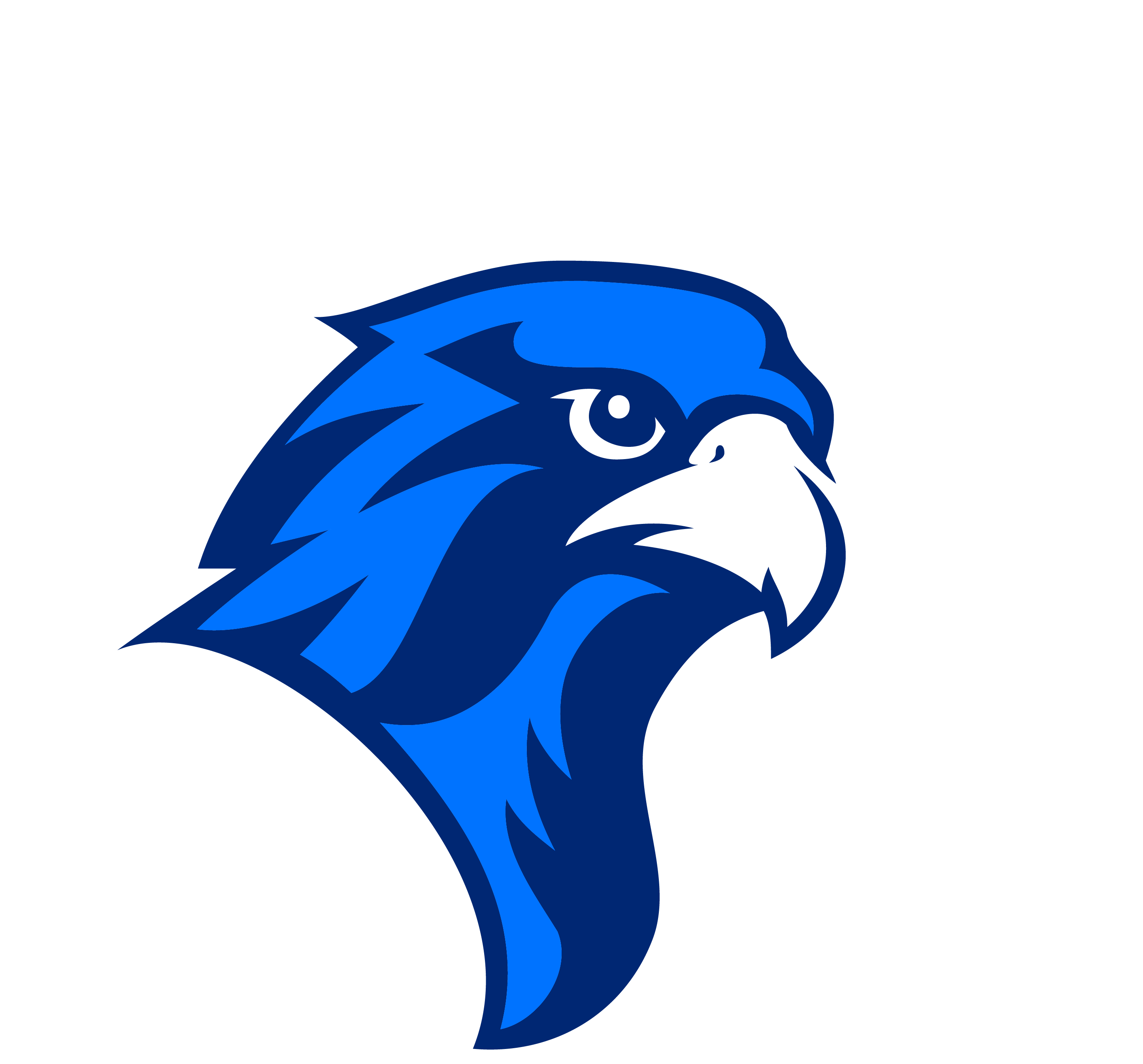 Athletic logo Falcon lockup