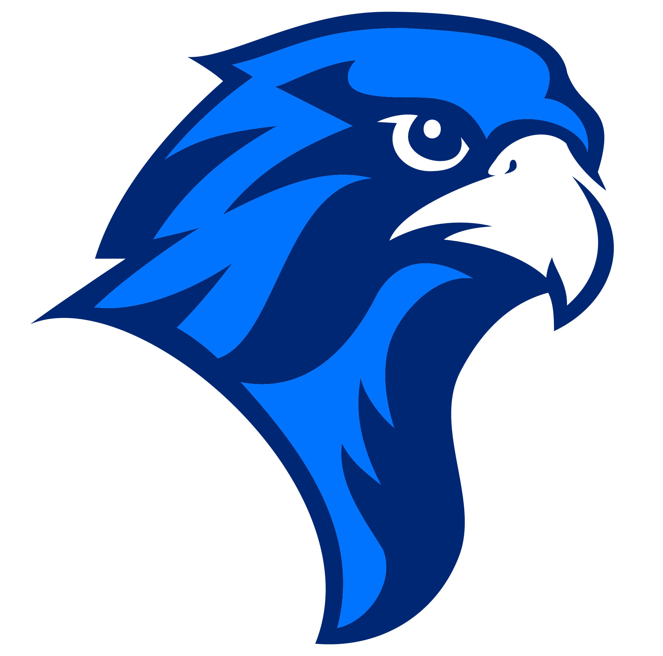 Albertus Falcon