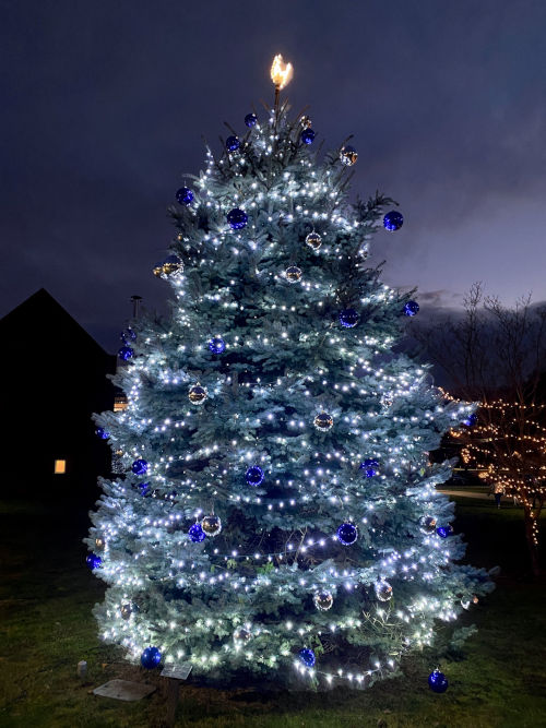 Tree lighting for Christmas celebration